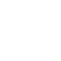 Piston Foundation